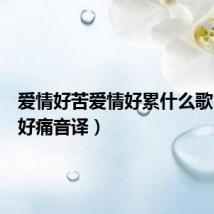 爱情好苦爱情好累什么歌(爱情好痛音译)