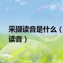 采撷读音是什么（采撷读音）
