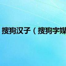 搜狗汉子（搜狗字媒体）