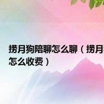 捞月狗陪聊怎么聊（捞月狗陪玩怎么收费）