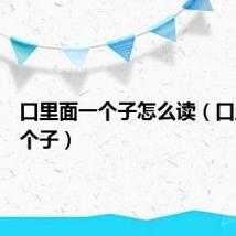 口里面一个子怎么读（口里面一个子）