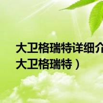大卫格瑞特详细介绍（大卫格瑞特）