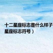 十二星座标志是什么样子(十二星座标志符号)