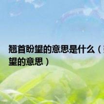 翘首盼望的意思是什么(翘首盼望的意思)