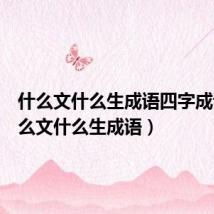 什么文什么生成语四字成语(什么文什么生成语)