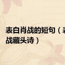 表白肖战的短句（表白肖战藏头诗）
