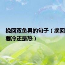 挽回双鱼男的句子（挽回双鱼男要冷还是热）