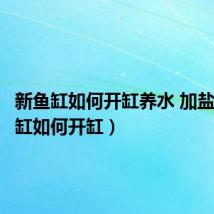 新鱼缸如何开缸养水 加盐(新鱼缸如何开缸)