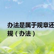 办法是属于规章还是法规（办法）