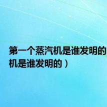 第一个蒸汽机是谁发明的(蒸汽机是谁发明的)