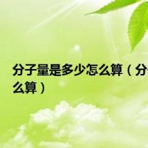 分子量是多少怎么算(分子数怎么算)