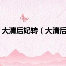 大清后妃转（大清后妃）