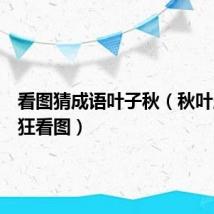 看图猜成语叶子秋(秋叶成语疯狂看图)