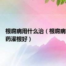 根腐病用什么治(根腐病用什么药灌根好)