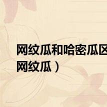 网纹瓜和哈密瓜区别（网纹瓜）