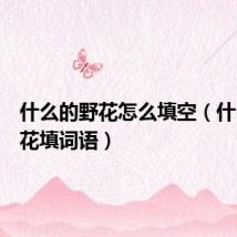 什么的野花怎么填空(什么的野花填词语)