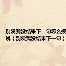 别爱我没结果下一句怎么接女孩子说(别爱我没结果下一句)