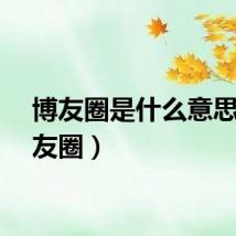 博友圈是什么意思（博友圈）