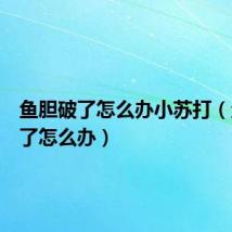 鱼胆破了怎么办小苏打（鱼胆破了怎么办）