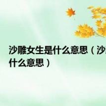 沙雕女生是什么意思（沙雕女孩什么意思）