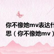 你不像她mv表达什么意思（你不像她mv）