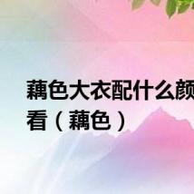 藕色大衣配什么颜色好看（藕色）
