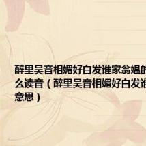 醉里吴音相媚好白发谁家翁媪的意思是什么读音(醉里吴音相媚好白发谁家翁媪的意思)
