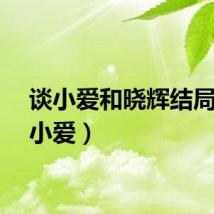 谈小爱和晓辉结局（谈小爱）