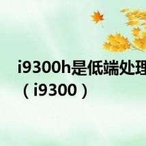 i9300h是低端处理器吗（i9300）