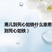 男儿到死心如铁什么意思(男儿到死心如铁)