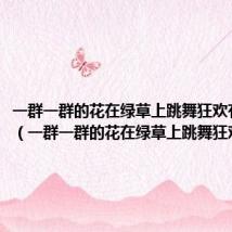 一群一群的花在绿草上跳舞狂欢有的什么（一群一群的花在绿草上跳舞狂欢有的）