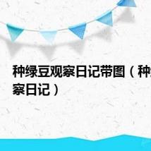 种绿豆观察日记带图(种绿豆观察日记)