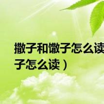 撒子和馓子怎么读（馓子怎么读）