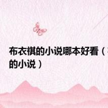 布衣祺的小说哪本好看(布衣祺的小说)