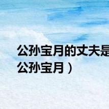 公孙宝月的丈夫是谁（公孙宝月）