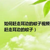 如何赶走耳边的蚊子视频(如何赶走耳边的蚊子)