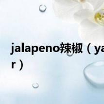 jalapeno辣椒(yadikar)