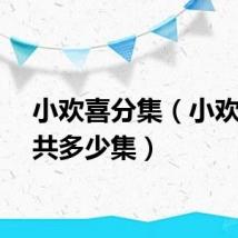 小欢喜分集（小欢喜一共多少集）