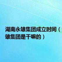 湖南永雄集团成立时间(湖南永雄集团是干嘛的)