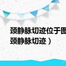 颈静脉切迹位于图片（颈静脉切迹）