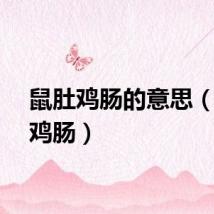 鼠肚鸡肠的意思（鼠肚鸡肠）