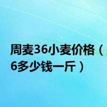 周麦36小麦价格(周麦36多少钱一斤)