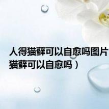 人得猫藓可以自愈吗图片(人得猫藓可以自愈吗)