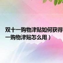 双十一购物津贴如何获得(双十一购物津贴怎么用)