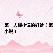 第一人称小说的好处（第一人称小说）
