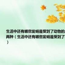 生活中还有哪些发明是受到了动物的启发至少写两种(生活中还有哪些发明是受到了动物的启发)