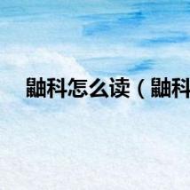 鼬科怎么读（鼬科）