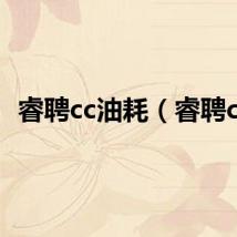 睿聘cc油耗（睿聘cc）