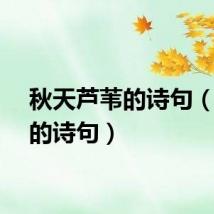 秋天芦苇的诗句（芦苇的诗句）