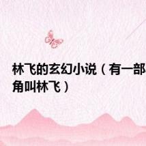 林飞的玄幻小说(有一部小说主角叫林飞)